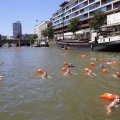 IMG_1548113