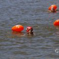 IMG_1548131