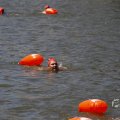 IMG_1548133