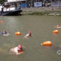 IMG_1548161