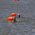 IMG_1548189
