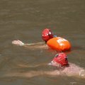 IMG_1548193