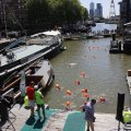 IMG_1548252