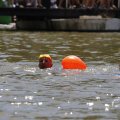 IMG_1548281