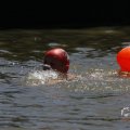 IMG_1548282