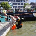 IMG_1548297