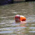 IMG_1548342