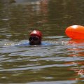 IMG_1548343