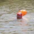 IMG_1548353