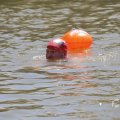 IMG_1548354