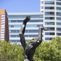 IMG_1548385