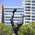 IMG_1548386