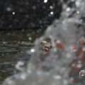IMG_1549204