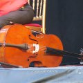 IMG_1550338