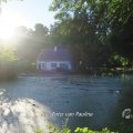 IMG_1550345