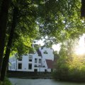 IMG_1550346