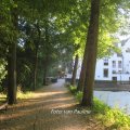 IMG_1550347
