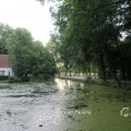 IMG_1550381