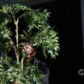 IMG_1549508