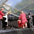 IMG_1549570