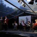 IMG_1549786