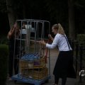 IMG_1550211