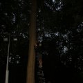 IMG_1550214