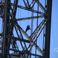 IMG_1550510