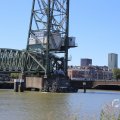 IMG_1550515