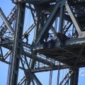 IMG_1550527