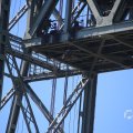 IMG_1550532