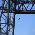 IMG_1550563