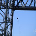 IMG_1550564