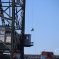 IMG_1550570