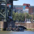 IMG_1550579