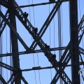 IMG_1550592