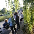 IMG_1551321