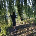 IMG_1551323