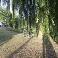 IMG_1551332