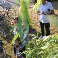 IMG_1551372