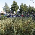 IMG_1551407