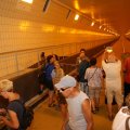 IMG_1553491