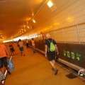 IMG_1553503
