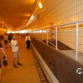 IMG_1553504