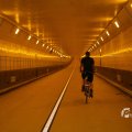 IMG_1553548