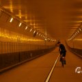 IMG_1553549