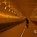IMG_1553550