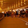 IMG_1553563