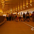 IMG_1553564