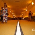 IMG_1553580